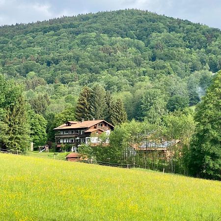 Huettenflair Im Gut Sonnenwald Schollnach Luaran gambar